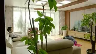 مص كيس كوري