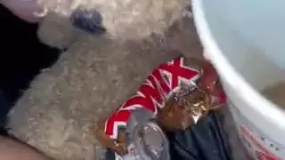 إباحية متشددة: انتزاع عذريه عذارى عربيات ضيقات